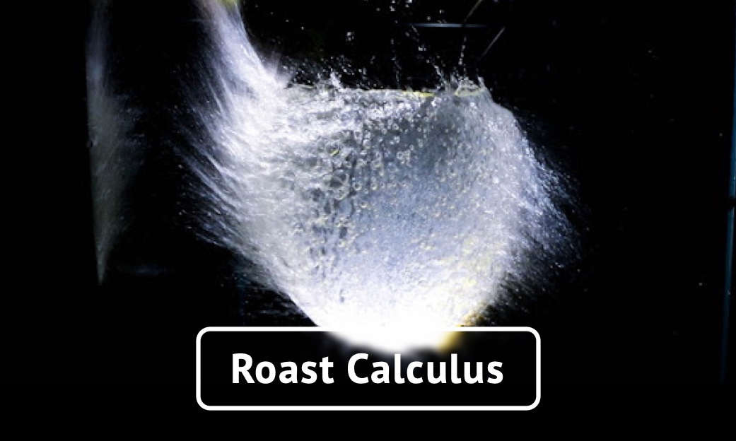 Roast Calculus